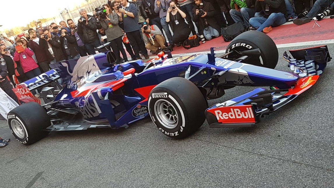 Toro_Rosso_02.jpg