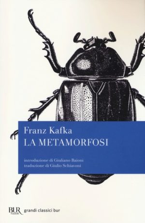 la-metamorfosi-300x460.jpg