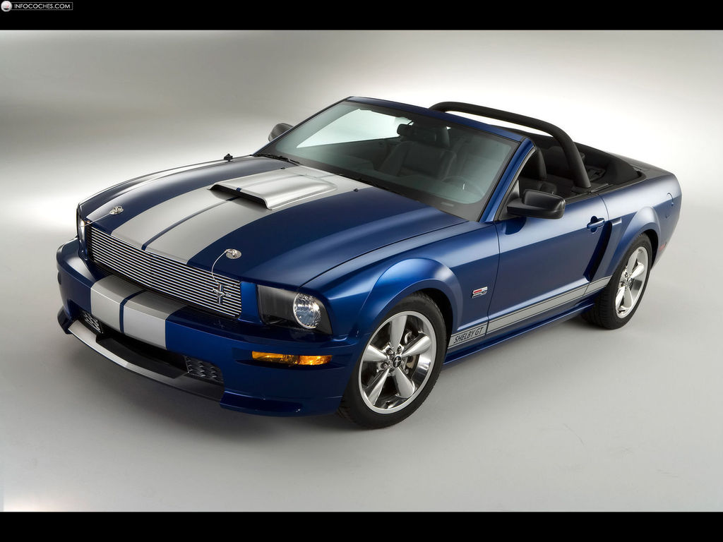 ford_2008-Shelby-GT-Convertible-002_2.jpg