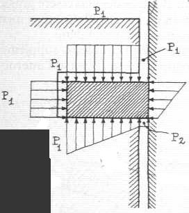 Fasce elastiche.jpg